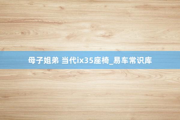 母子姐弟 当代ix35座椅_易车常识库