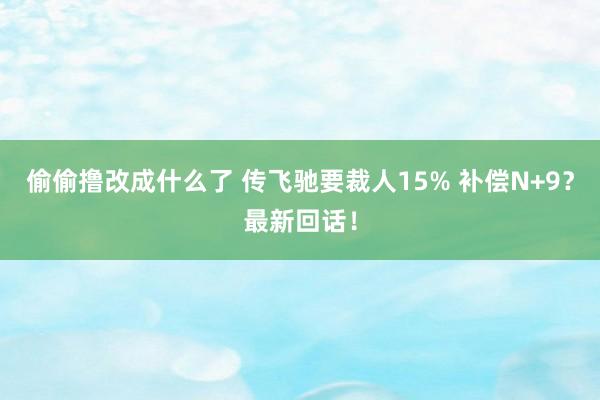 偷偷撸改成什么了 传飞驰要裁人15% 补偿N+9？最新回话！