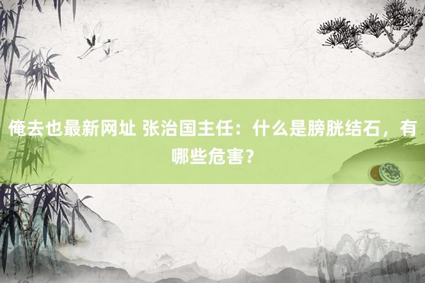 俺去也最新网址 张治国主任：什么是膀胱结石，有哪些危害？