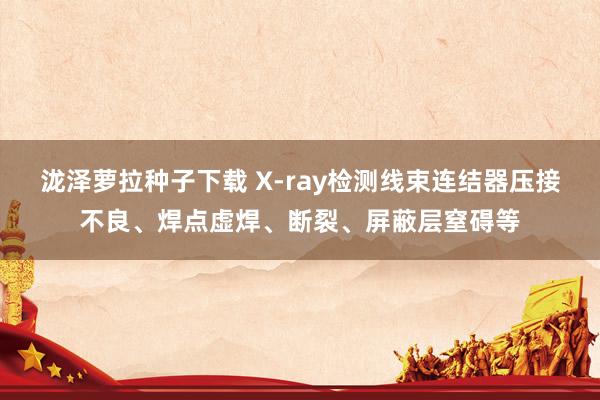 泷泽萝拉种子下载 X-ray检测线束连结器压接不良、焊点虚焊、断裂、屏蔽层窒碍等