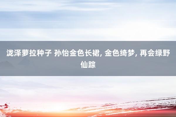泷泽萝拉种子 孙怡金色长裙， 金色绮梦， 再会绿野仙踪