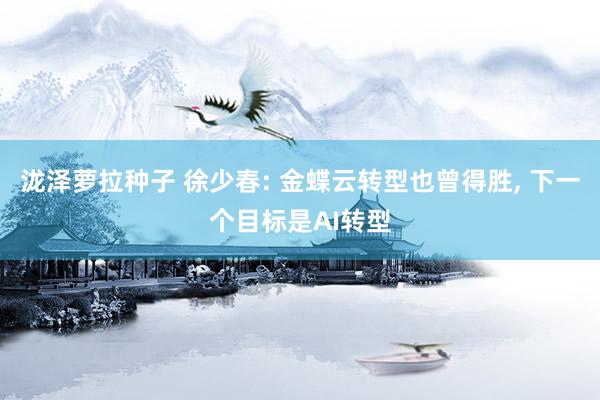 泷泽萝拉种子 徐少春: 金蝶云转型也曾得胜， 下一个目标是AI转型