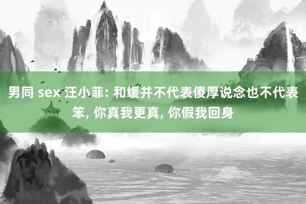 男同 sex 汪小菲: 和缓并不代表傻厚说念也不代表笨， 你真我更真， 你假我回身