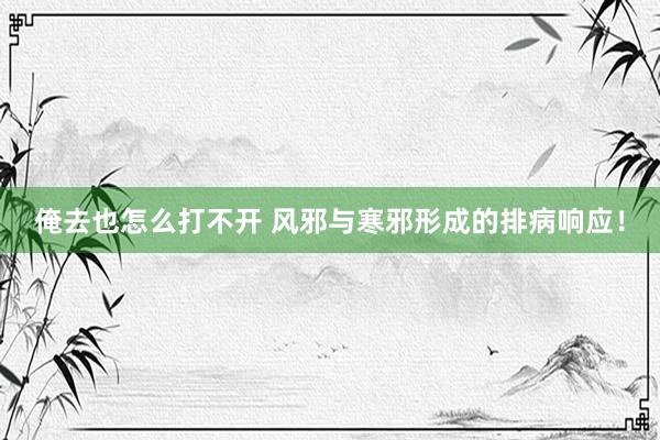俺去也怎么打不开 风邪与寒邪形成的排病响应！