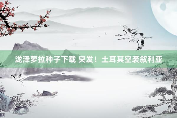 泷泽萝拉种子下载 突发!土耳其空袭叙利亚